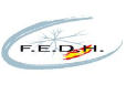 Federacion española de deportes de hielo