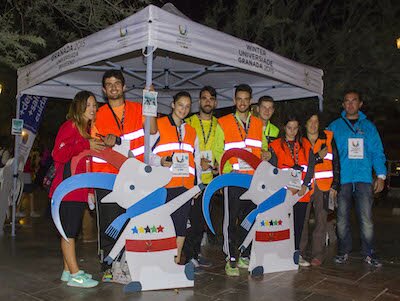 IMG 7825 copia